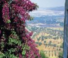 Alentejo