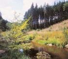 Ardennen