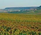 Champagne-Ardenne