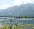 Corse