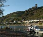 Rhin
