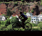 Rhin