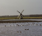 Waddeneilanden