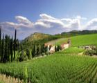 Château L'Hospitalet