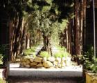 Resort & Spa San Crispino