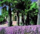 El Rodat Hôtel & Spa**** - Javea
