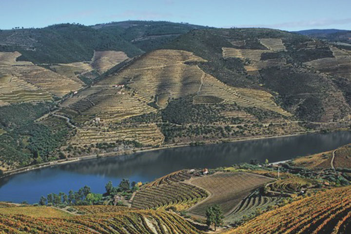 8 jours Quinta De Casaldronho Wine Hotel **** 