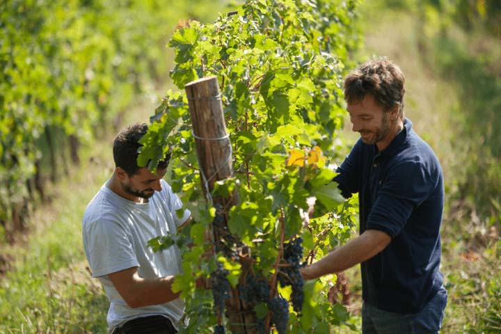 8-daagse rondreis Proeven van Italiaanse champagne prosecco en de mooiste witte wijnen in Noord-Italië 