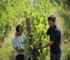 Rondreis 8 dagen  Proeven van Italiaanse champagne prosecco en de mooiste witte wijnen in Noord-Italië 