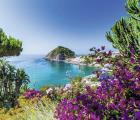 8-daagse combinatie Napels en het eiland Ischia