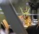 Boutique Hotel Albus Amsterdam Centre