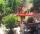 8-daagse fietsrondreis: Provence en Camargue