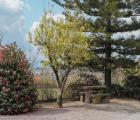Quinta da Bouça d'Arques