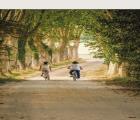 Domaine de Camboyer