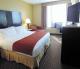 Holiday Inn Express & Suites Detroit Downtown