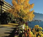Royal Plaza Montreux And Spa