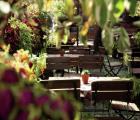Historisches Weinhôtel des Riesling zum grünen Kranz