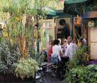 Historisches Weinhôtel des Riesling zum grünen Kranz